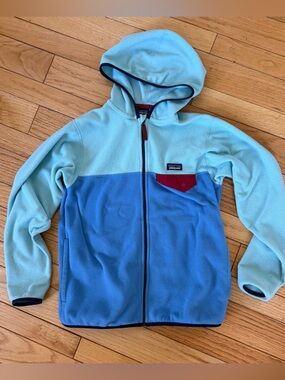 Patagonia Kids micro D Snap-T fleece jacket